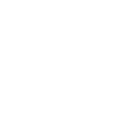 Florida Panthers Logo