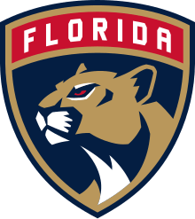 Florida Panthers Case Study