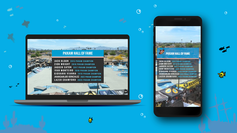 Example screenshots of the horizontal and vertical livestreams of the PHXAM