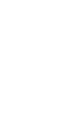 The Portland Fire (WNBA) logo in white